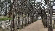 Ein noch unbelaubter Laubengang im Park von Schloss Sanssouci in Potsdam am 15.03.2025.
Das Schloss Sanssouci ist eine ehemalige Sommerresidenz der K�nige von Preu�en. Die Einfl�gelanlage wurde 1745 bis 1747 durch Friedrich den Gro�en von Georg Wenzeslaus von Knobelsdorff im Rokokostil erbaut. Text Wikipedia.