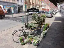 Aire-sur-la-Lys, Blumenmarkt in der Rue de Saint Omer (25.04.2025)