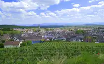 Ihringen am Kaiserstuhl, Blick auf die Stadt, am Horizont der Schwarzwald, Mai 2025