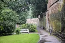 Hinter der Rostocker Stadtmauer zwischen Lagebuschturm und Kuhtor. Aufnahme: 8. Juni 2025.