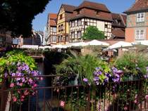 Bl�tenpracht in Klein-Venedig; 080830