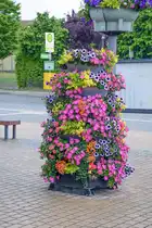 Blumenschmuck auf dem Bahnhofsvorplatz vor dem Bahnhof K�hlungsborn Ost. Aufnahme: 7. Juni 2025.