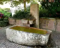 Wittichen, Brunnen auf dem Gel�nde des ehemaligen Klosters, Juli 2025