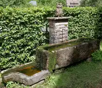 Schiltach, Brunnen mit Eule, Juli 2025