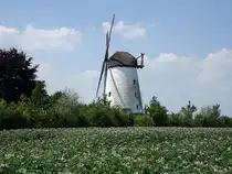 Schmerlecke, Windm�hle Am Alten Hellweg, Kornm�hle von 1930 (18.06.2025)