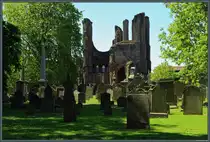 Im n�rdlichen Bereich des Klosters Arbroath befindet sich der Friedhof. Im Hintergrund sind die Reste der Westt�rme zu sehen. (Arbroath, 16.05.2025)