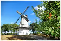 Die Windm�hle von Sprengel bei Schneverdingen zur Zeit der Apfelernte. Anfang September 2025