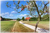 Dorfrand von Sprengel bei Schneverdingen. Wir schauen von einer Anh�he ins Tal. Auf dieser Anh�he steht die Windm�hle von Sprengel. Zur Zeit sind die �pfel reif, Anfang September 2025.