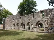 Loburg, Kirchenruine Unser Lieben Frauen, erbaut im 12. Jahrhundert (05.07.2025)