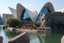 VAL�NCIA (Provincia de Valencia), 06.10.2007, Parque Oceanogr�fico