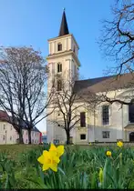 Fr�hling an der St.-Johannis-Kirche in Dessau. Obwohl sie nach dem Zweiten Weltkrieg nur vereinfacht wiederaufgebaut wurde, steht sie unter Denkmalschutz.

🕓 8.3.2025 | 16:35 Uhr