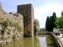 VERGES (Provincia de Girona), 11.06.2006, am Fl�sschen Rec del Mol�