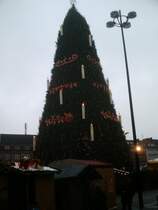 Ein frohes Weihnachtsfest an alle mit Deutschland`s gr��ten Weihnachtsbaum aus Dortmund.(18.12.2008)