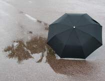 Palmen an der C�te Azur einmal anders...
(Nice im April 2009)