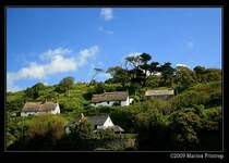 Cottages in Hanglage �ber der Bucht von Cadgwith, The Lizard Cornwall UK.