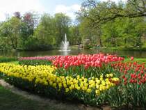 Fr�hling im Keukenhof Lisse - �ber 1 Million Tulpen - der sch�nste Fr�hlingspark der Welt