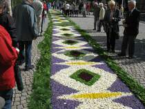 Blumenteppich in H�fingen aufgenommen am 11.06.09 Fronleichnam.