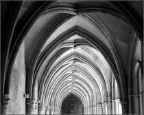 Kreuzgang, Dom von Trier. 22.05.2009 (Matthias)