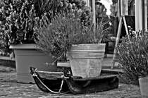 Eisschlitten im Sommer
Deko vor einem Restaurant am Hafen von Stralsund