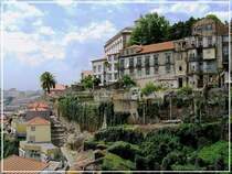 H�user und G�rten an der Br�cke Dom Luis I. (Mai 2009)