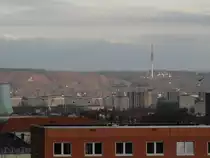 Sonnenschein in Dresden Wachwitz