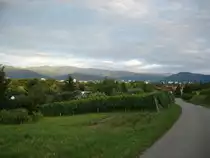 Freiburg/Breisgau,
Blick vom Lehener Bergle auf die Stadt
und die Schwarzwaldberge,
Aug.2008