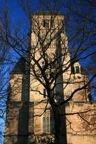 Die Chemnitzer Schlo�kirche  durch den Baum gesehen ; 27.12.06.