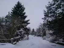 Guben, Dr.Ayrer stra�e, 02.01.2010