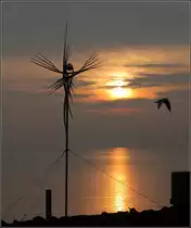 Friedrichshafen, 31.10.2009 (Matthias)