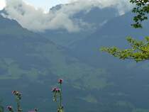 Idyllisch ist die Gegend um den Pf�nder, wenn man sich von den durch die Seilbahn doch etwas �berv�lkerten Gegenden abgesetzt hat. August 2005