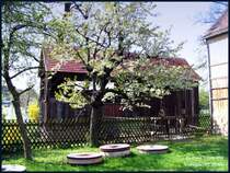 Die M�hle (Wasserm�hle) in Uebigau macht einen sehr bauf�lligen Eindruck. Demn�chst soll auch sie saniert werden. 01.05.06