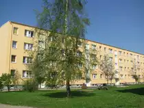 Wonnemonat Mai im Ploggenseering (Grevesm�hlen), 01.05.2010