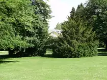 aufgenommen am 26.06.10
in bad harzburg im stadtpark