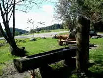 ein frischer Quell im Hochschwarzwald bei St.Peter,
Juni 2007