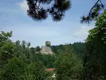 Kastellburgruine bei Waldkirch/Baden,
die H�henburg wurde 1260-70 vom Geschlecht der von Schwarzenberg erbaut, diente zur Kontrolle der Handelswege durch den Schwarzwald,
Juni 2010