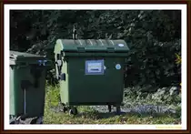 Hier scheint jemand die Altpapiertonne, mit der Glastonne verwelschelt zu haben. Gesehen in  Lehrte, am 18.10.2010