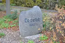 Gr�nderstein vom Lehrte, Foto vom 26.10.2010.