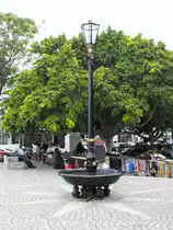 Hoch ueber dem Hafen steht der geschichtstraechtige Laternenbrunnen. Simons Town, 20.11.2010
