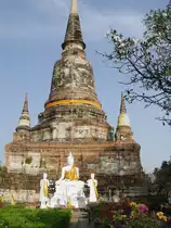 In Ayutthaya, der ehemaligen K�nigsstadt des siamesischen Reiches, befinden sich etliche antike Tempelanlagen, eine davon ist der Tempel Yai Chai Mongkul aus dem 14. Jahrhundert. Der Chedi des Tempels hat eine H�he von 80 m