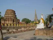 In Ayutthaya, der ehemaligen K�nigsstadt des siamesischen Reiches gibt es noch eine Menge antiker Tempelanlagen. Eine davon, die etwas au�erhalb gelegene, ist die Anlage Yai Chai Mongkol aus dem 14. Jahrhundert. Der Chedi der Tempelanlage ist eingefa�t von zahlreichen Buddha-Statuen.