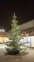 Weihnachtsbaum in Neuen Zentrum in Lehrte am 08.12.10.