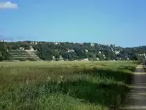 Dresden, Blick von den Elbwiesen zum Stadtteil  Wei�er Hirsch  dem Nobelviertel der Stadt in exponierter Lage, Okt.2009