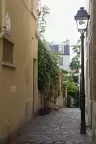 In den Vierteln der ehemals selbst�ndigen Gemeinden Belleville und M�nilmontant findet man heute noch etliche kleine Passagen. Diese sind entstanden aus der ehemaligen Nutzung des Bodens als Weinberge. Die Passagen waren die Wege zwischen den einzelnen Parzellen, die nach und nach bebaut wurden, die Wege aber blieben bestehen. (17.07.2009)