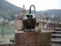 Am ehemaligen n�rdlichen Br�ckenturm war ab dem fr�hen 17. Jahrhundert das Relief eines Affen angebracht, der sich ans Hinterteil fasste und sich gleichzeitig einen Spiegel vorhielt. Dieses Motiv geht ikonografisch vermutlich auf einen �lteren Stadtaffen zur�ck, der sich an anderer Stelle der Stadt befunden hatte.Bei der Zerst�rung von 1689 wurde der Affenturm gesprengt und der Br�ckenaffe ging verloren. 1977 schrieb der Verein Alt-Heidelberg einen Wettbewerb f�r eine moderne Neugestaltung des Br�ckenaffen aus, der zugunsten eines Entwurfs des Bildhauers Gernot Rumpf entschieden wurde. Die 1979 geschaffene Bronzeskulptur am S�dufer greift das Motiv der Selbstreflexion auf, indem sie dem Betrachter einen metaphorisch zu deutenden Spiegel vorh�lt. Neben dem Affen ist das besagte Spottgedicht angebracht. Zwei kleine Mausfiguren erinnern an das kurf�rstliche Kornhaus, das sich ehemals an dieser Stelle neben dem Br�ckentor befand. Der Kopf des Affen ist hohl gestaltet, so dass man den eigenen Kopf in ihn hineinstecken kann – ein Motiv das gerne von Heidelberg-Touristen als Motiv f�r Erinnerungsfotos genutzt wird. Am 24.02.11 in Heidelberg Alte Br�cke