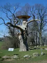 die �ber 400 Jahre alte Gerichtseiche am Castellberg im Markgr�flerland, wurde 2007 vom Freiburger K�nstler Thomas Rees gestaltet, M�rz 2011