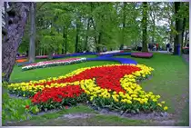 Der Keukenhof - Europas gr��ter und sch�nster Blumenpark. Saison April/Mai  Aufnahme am 28.04.2010.