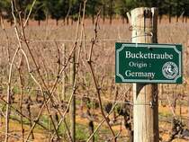 Auch im S�den Afrikas l��t sich Deutscher Wein gut schmecken. Hinweisschild auf dem Weingut  Delheim 