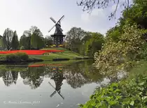 Die M�hle am Wallgraben im Fr�hling. Aufnahme am 22.04.2011.Galleriholl�nder mit Windrosensteuerung. H�he 27m - Baujahr 1898. Seit 1953 steht die M�hle unter Denkmalschutz.