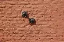 An der Mauer des Nassauer Stall befindet sich immer noch das Equipment aus Zeiten als es sich um einen Pferdestall handelte. Schloss Wickrath/M�nchengladbach. 24.4.2011