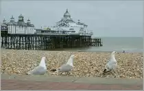 Alte Damen spazieren gerne der Seepromenade in Eastboure entlang und f�r Abwechslung sorgt der Pier. 
17.05.2011